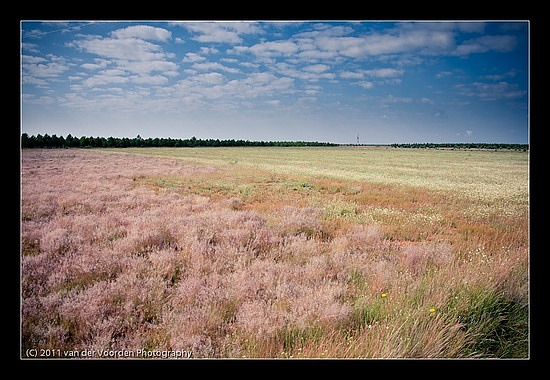 Farbenfrohe Landschaft