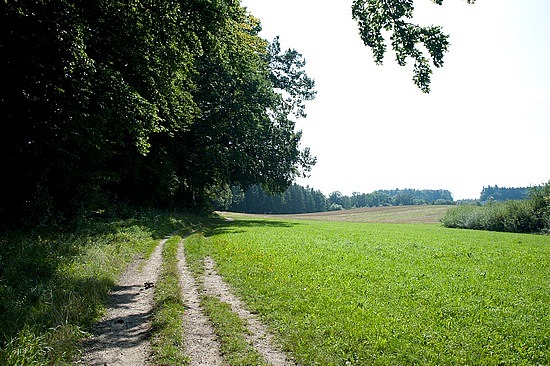 Landschaft am Querweg