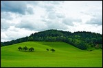 Landschaft im Schwarzwald am Querweg