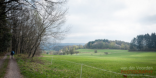 Landschaft am Neckarsteig