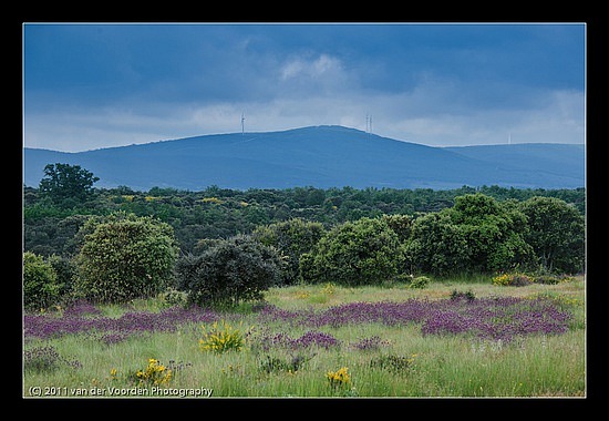 Schöne Landschaft