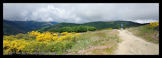 Landschaft am Camino