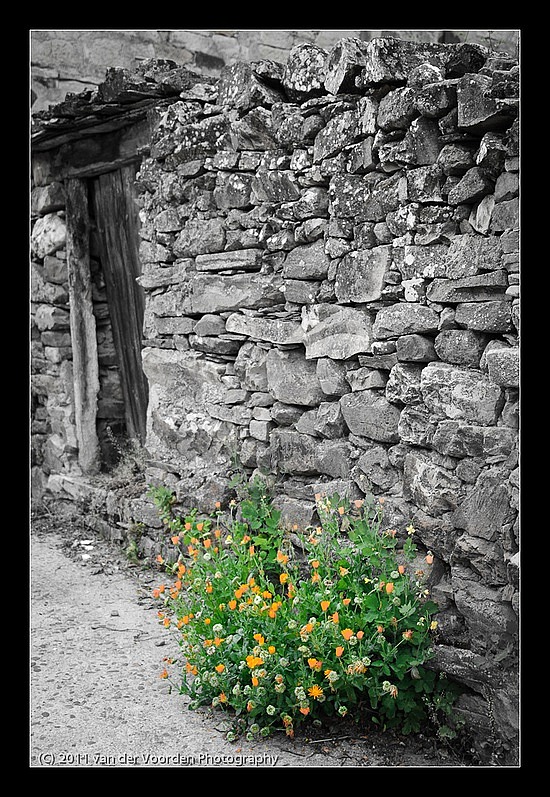 Begrünte Steinmauer