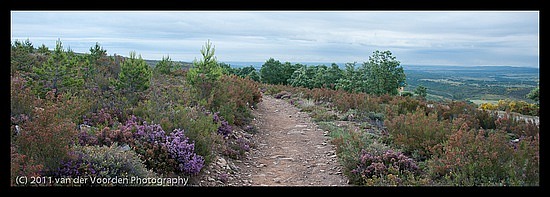 Landschaft am Camino