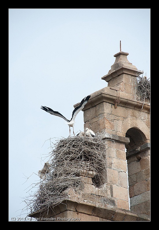 Flugversuche