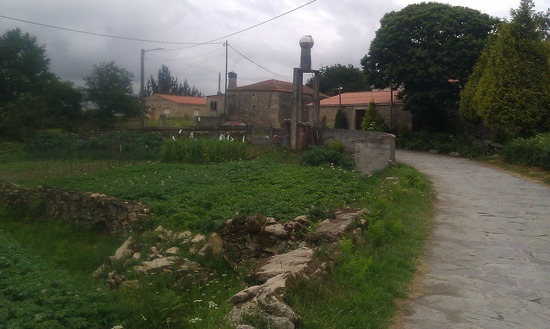 Camino