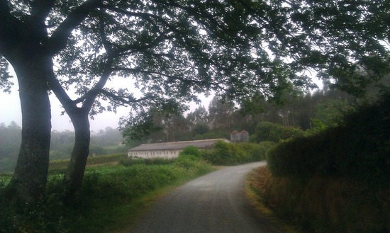 Camino