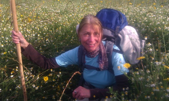 Pilgerin im Bl&uuml;tenmeer