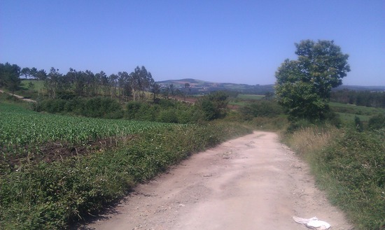 Am Camino