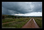 Stimmung nach dem Gewitter