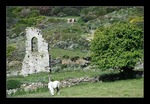 Verlassenes Dorf - Foncebadón