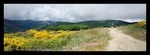 Landschaft am Camino