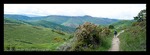 Landschaft am Camino
