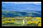 Landschaft am Camino