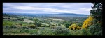 Landschaft am Camino