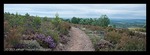 Landschaft am Camino