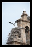 Flugversuche