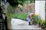 Hausarbeit