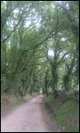 Camino
