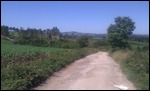Am Camino