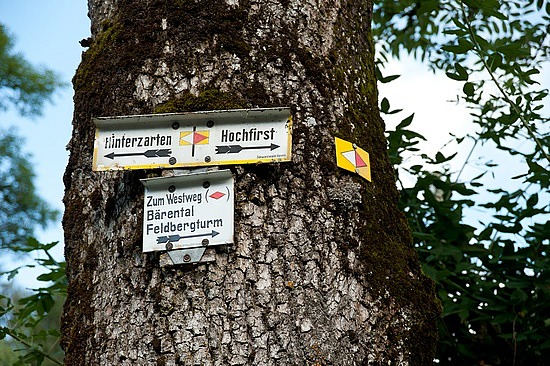 Wegweiser