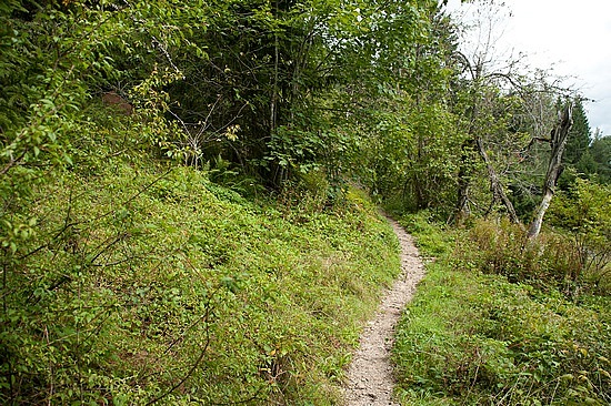 Wutachschlucht