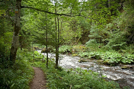 Wutachschlucht