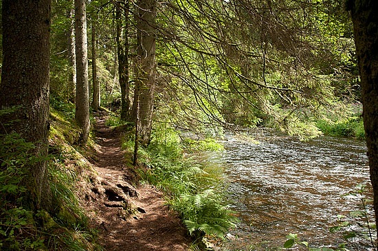 Wutachschlucht