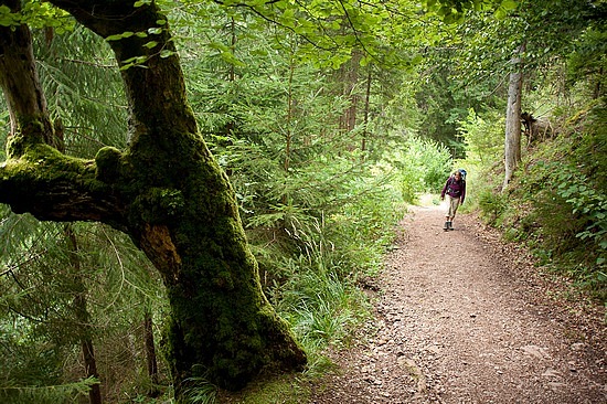 Wutachschlucht