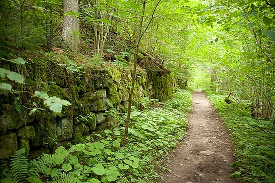 Wutachschlucht