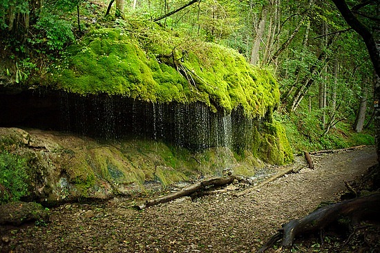 Wutachschlucht
