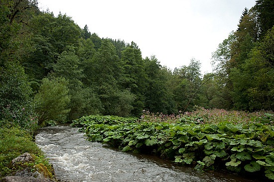 Wutachschlucht