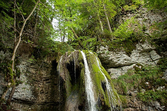 Wutachschlucht