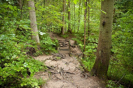 Wutachschlucht