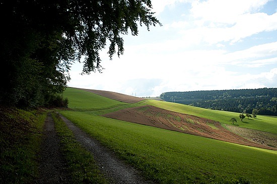 Auf dem Weg nach Riedöschingen