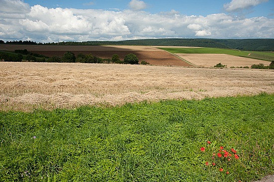 Landschaft