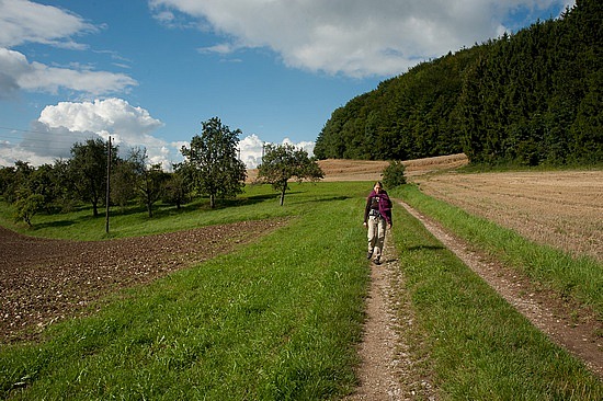 Auf dem Weg nach Riedöschingen