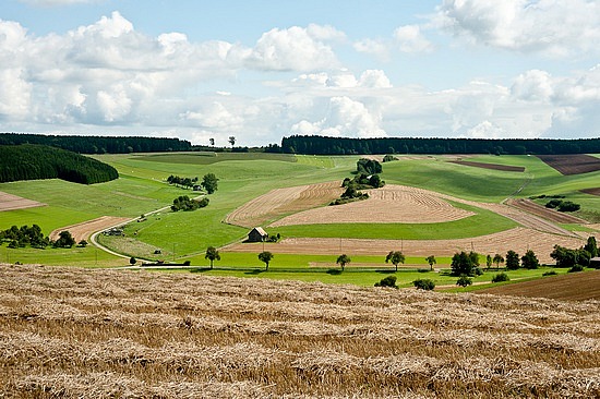 Landschaft