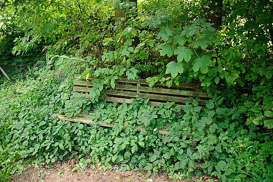 Oft benutzte Bank