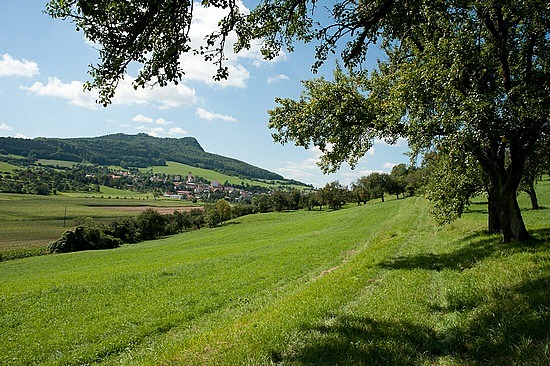 Hegau