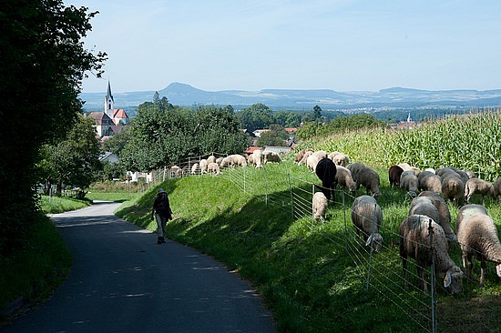 Etappe 7: Von Singen nach Möggingen