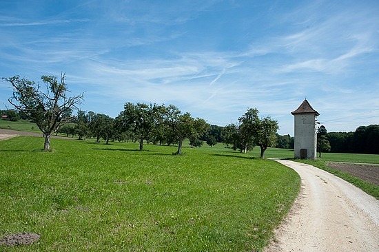 Etappe 7: Von Singen nach Möggingen