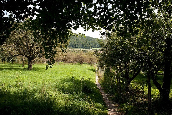 Etappe 7: Von Singen nach Möggingen