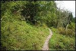 Wutachschlucht