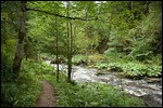 Wutachschlucht