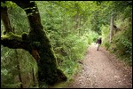 Wutachschlucht