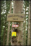 Vögelesfelsen