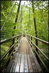 Wutachschlucht