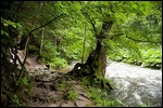 Wutachschlucht