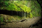 Wutachschlucht